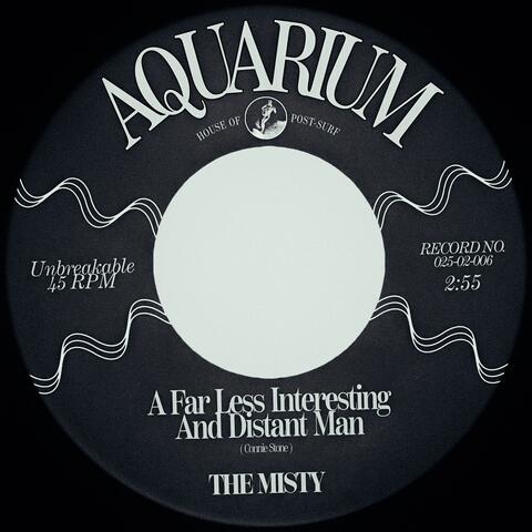 A Far Less Interesting And Distant Man