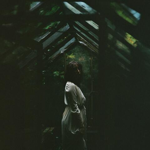 Stranger