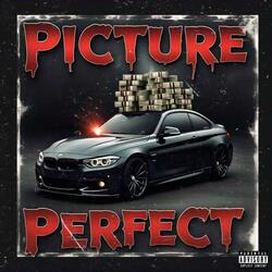 Picture Perfect