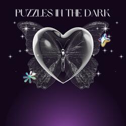 Puzzles in the Dark