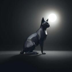 Dark Side