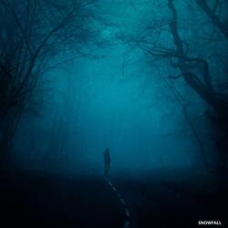 RainDreams