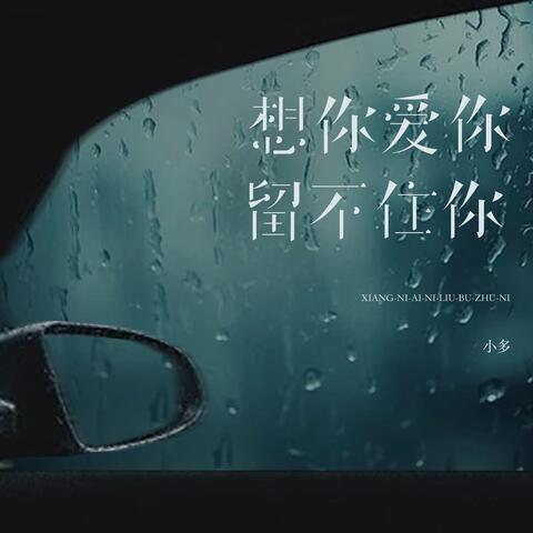 想你爱你留不住你