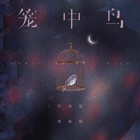 笼中鸟