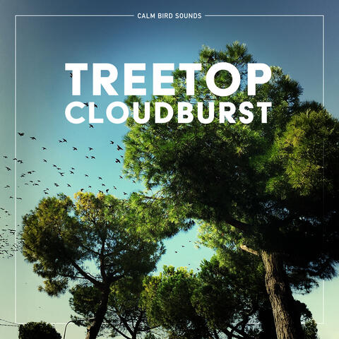 Treetop Cloudburst
