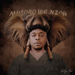 Dzimwe Hembe