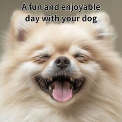 A fun and enjoyable day with your dog