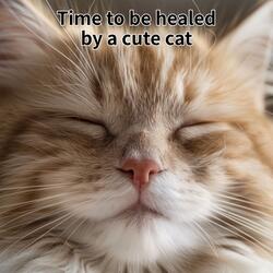 Time to be healed by a cute cat