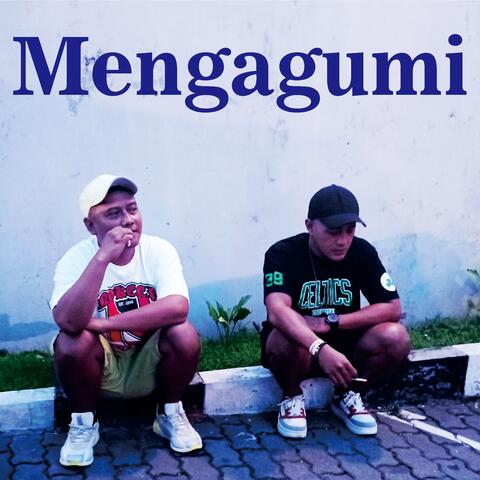 Mengagumi