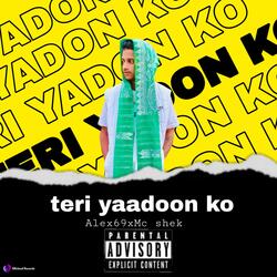 Teri Yaadon Ko