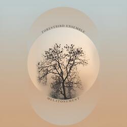 Forestbird Ensemble