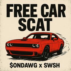 Free Car Scat