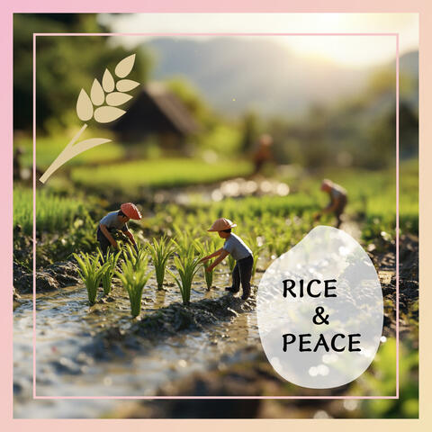 RICE & PEACE