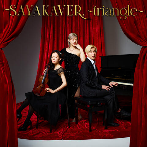 SAYAKAVER.: triangle