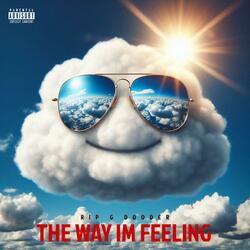 THE WAY IM FEELING