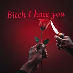 Bitch I hate you