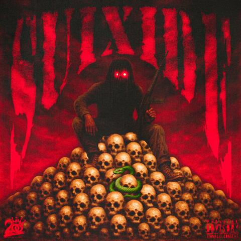 Suixide