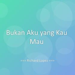 Bukan Aku yang Kau Mau