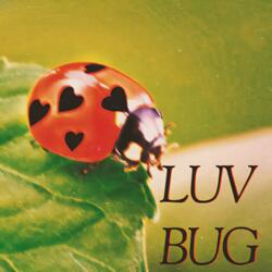 luvbug