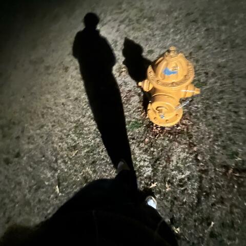outside freestyle