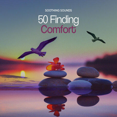 50 Finding Comfort