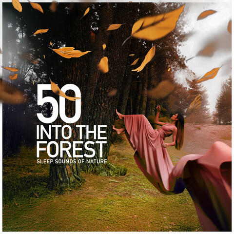 50 Into the Forest