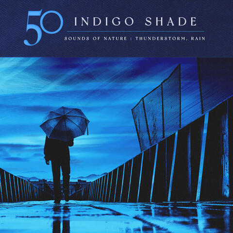 50 Indigo Shade