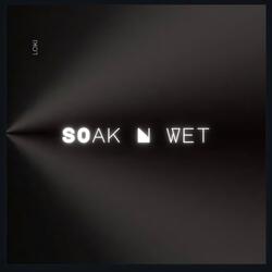 soak n wet