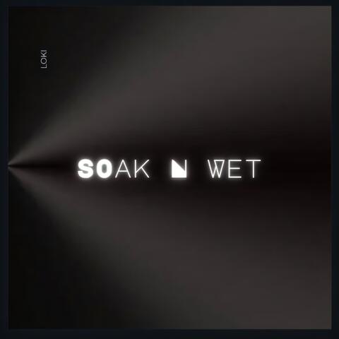 soak n wet