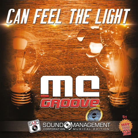 Can Feel The Light