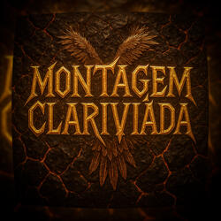 MONTAGEM CLARIVIÂDA
