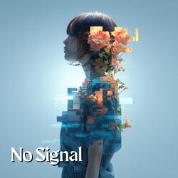 No Signal