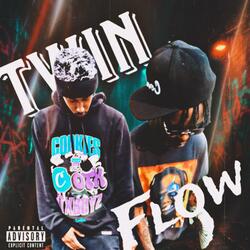 Twin Flow