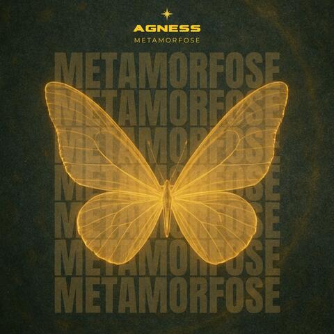 ᛊ Metamorfose ᛋ