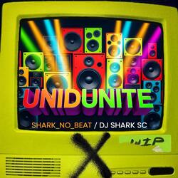 Unidunitê