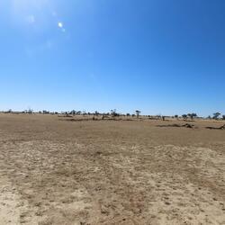 In The Middle of Nowhere