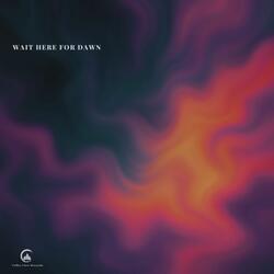 Wait Here for Dawn