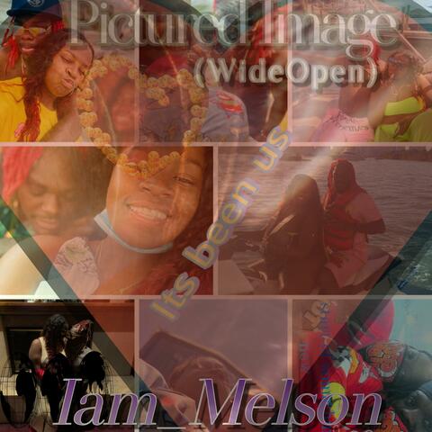 PICTURE IMAGE (Wide Open)