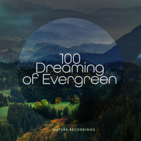 100 Dreaming of Evergreen