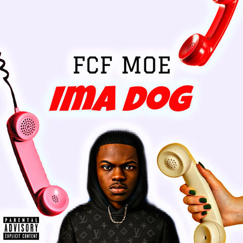 Ima dog