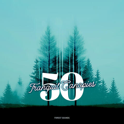 50 Tranquil Canopies
