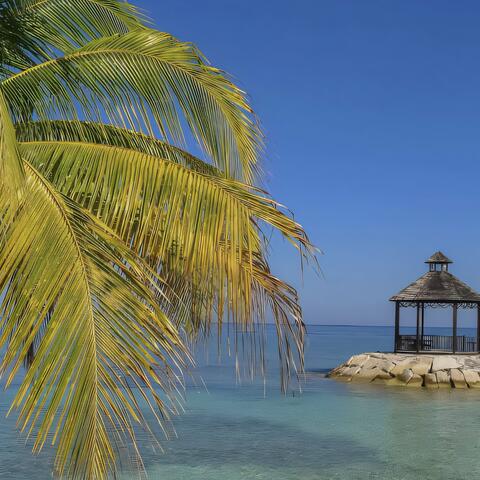 Back in Ja
