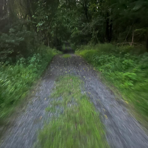 .mp3