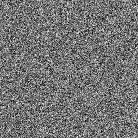 1 Night With White Noise: Stillness in Noise