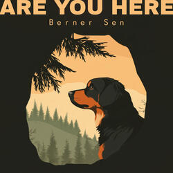 Are You Here