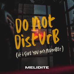 do not disturb (if i give you my number)
