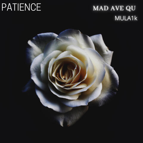 Patience