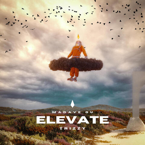 Elevate