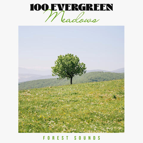 100 Evergreen Meadows