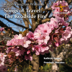 Songs of Travel: No. 3, The Roadside Fire